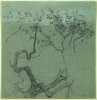1911 - Albero